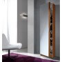 Mueble zapatero Kit 1 puerta + espejo modelo Coral III