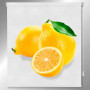 esbd-limones-estor-personalizado-fotografico-cocina-frutas-a-medida