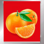 esbd-estor-personalizado-naranjas-red-2-fotografico-cocina-frutas-a-medida