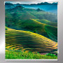 Verde-paisaje-arrozales-estores-impresión digital-personalizado-a-medida